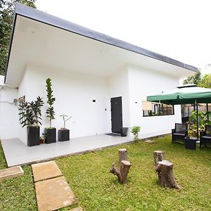 Family Studio